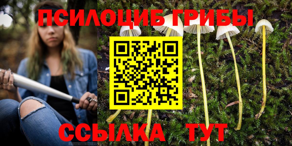 Псилоцибиновые грибы Psilocybine cubensis  Вход с VPN  Саранск 